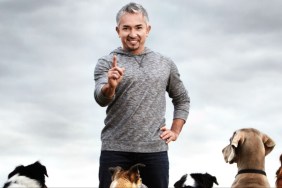 Dog Whisperer Season 1 Streaming: Watch & Stream Online via Amazon Prime Video