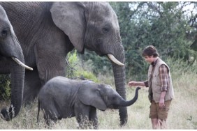 An Elephant's Journey (2018) Streaming: Watch & Stream Online via Starz