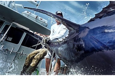 Wicked Tuna (2012) Season 13 Streaming: Watch & Stream Online via Hulu