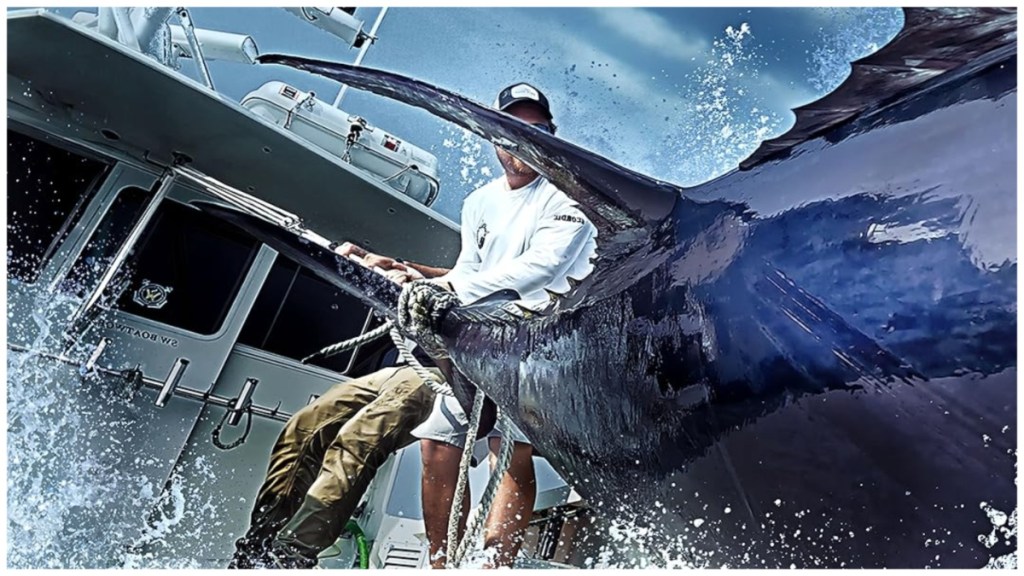 Wicked Tuna (2012) Season 13 Streaming: Watch & Stream Online via Hulu