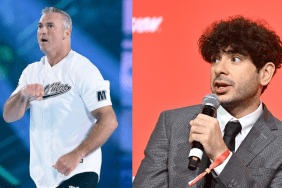 Fomer WWE star Shane McMahon and AEW President Tony Khan