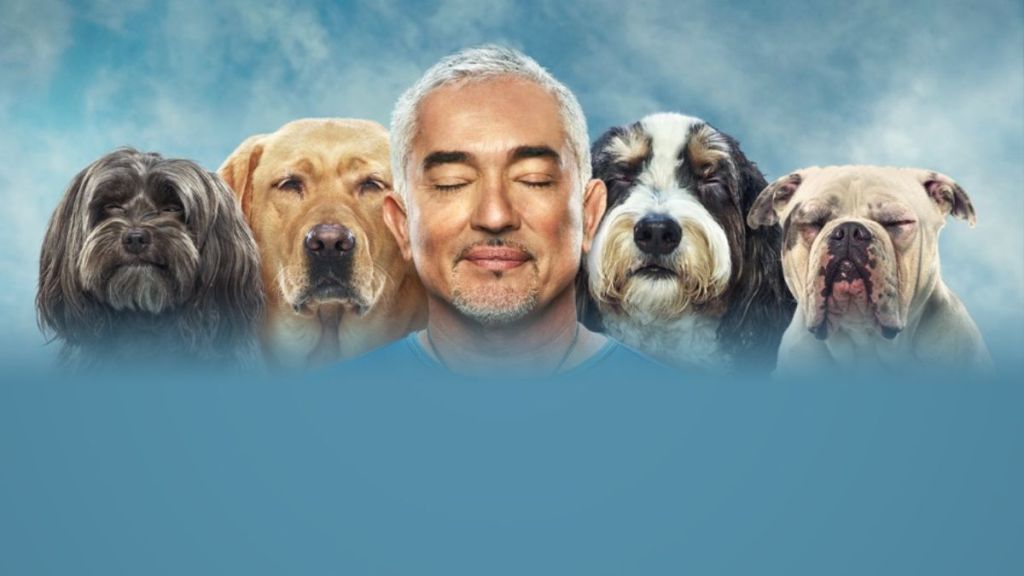 Cesar Millan: Better Human Better Dog Season 4: How Many Episodes & When Do New Episodes Come Out?