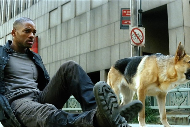 Will Smith in I am Legend.