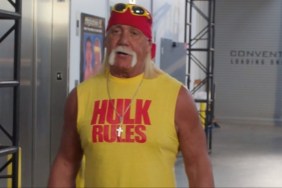 Chris Hemsworth Hulk Hogan biopic canceled delayed