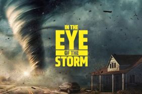 Can You Watch In the Eye of the Storm Online Free?