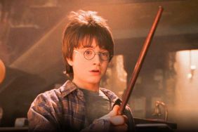 Will There Be a New Harry Potter Movie Release Date & Is It Coming Out?