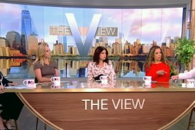 Is The View Being Canceled