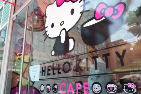 Is Hello Kitty a Cat? Cartoon Character Explained