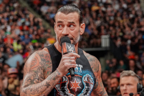 CM Punk will wrestle Drew McIntyre at WWE SummerSlam with Seth Rollins serving as the special guest referee