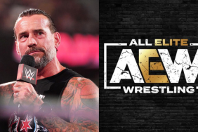 Find out why WWE Superstar CM Punk thanked AEW?