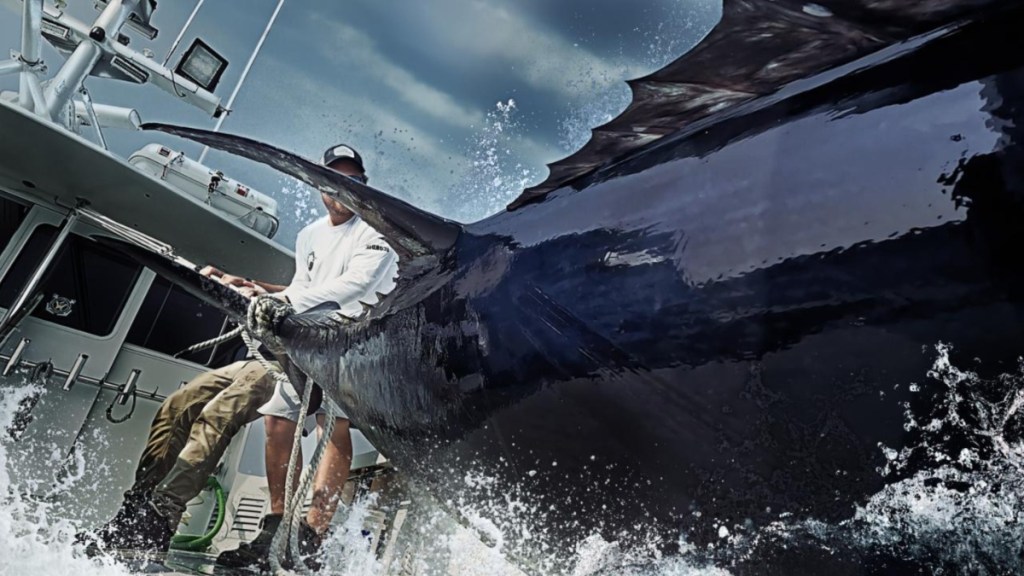 How to Watch Wicked Tuna Online Free