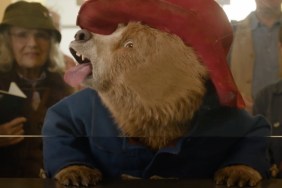 New Paddington in Peru Trailer Previews Titular Bear’s South American Adventure