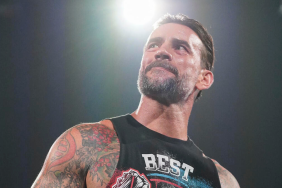 Former WWE Champion CM Punk has made several appearances on NXT since his return.