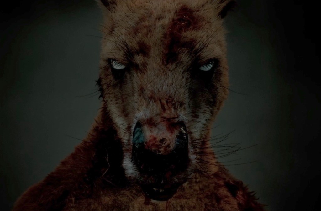 Exclusive Rippy Trailer Previews Zombie Kangaroo Horror Movie