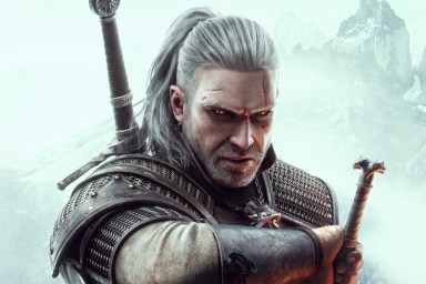 the witcher