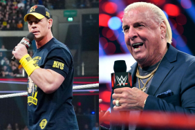Ric Flair Reacts to John Cena's WWE RAW Promo, Reveals WrestleMania 41 Plans