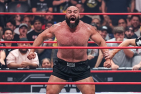 WWE Reportedly Eyeing Former AEW Star Miro for a Potential Return
