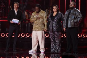 Who Went Home on American Idol? Top 12 Contestants Listed