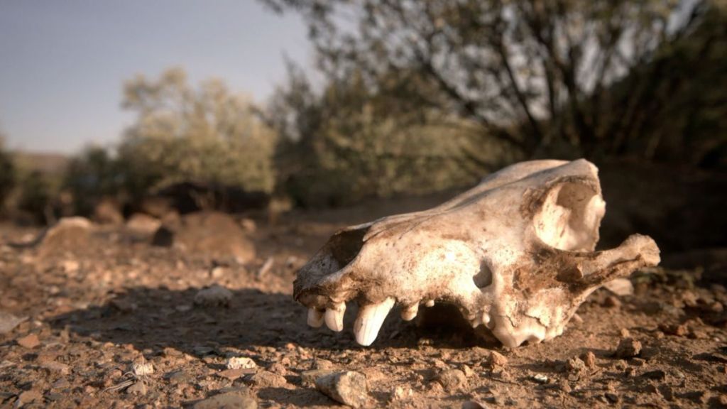 Alone Season 12 Episode 3 Release Date, Time, Where to Watch