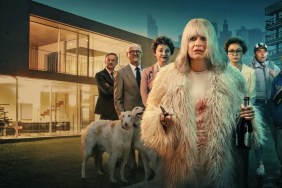 Has Aniela Season 2 Been Canceled or Renewed?