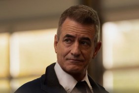 Who Is Dermot Mulroney's Wife? Prima Apollinaare's Relationship History