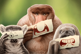 Disney Plus Schedule June 16-June 22, 2025: New TV Shows & Movies Being Added