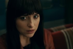 Dakota Johnson Spotted With Kate Hudson Amid Chris Martin Split Reports