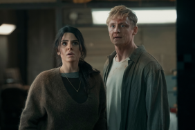 Brick Trailer: Army of Thieves Stars Reunite in Netflix Thriller