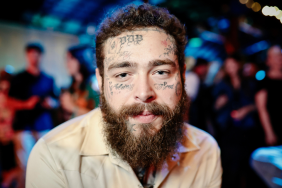 Post Malone fell off stage