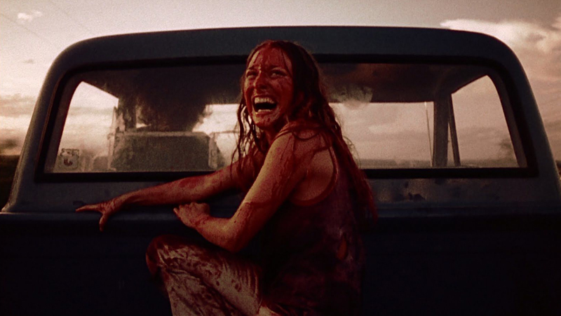 Texas Chainsaw Massacre (1974)