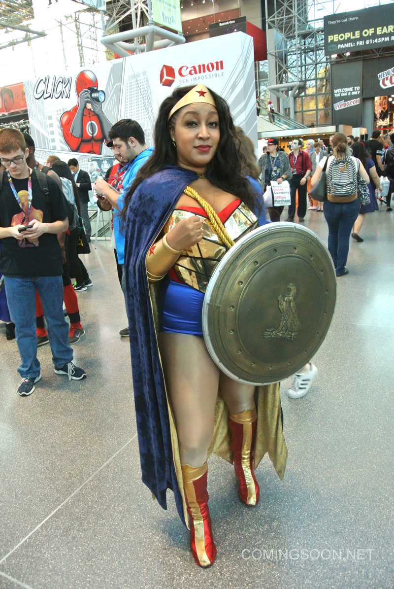 2016nycc0094