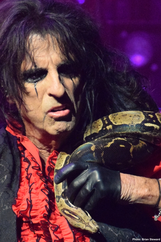 Alice Cooper 25 Web