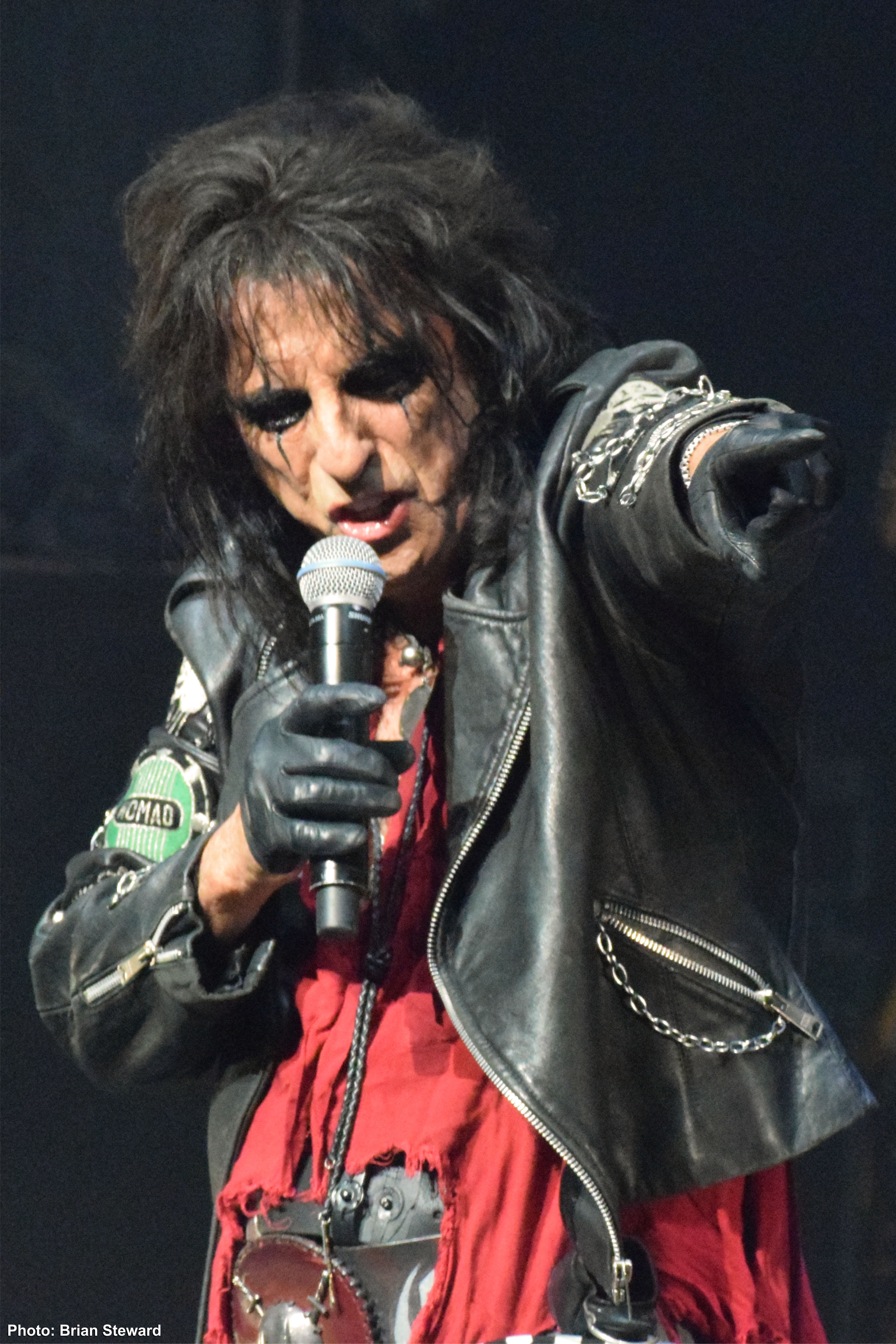 Alice Cooper 46 Web