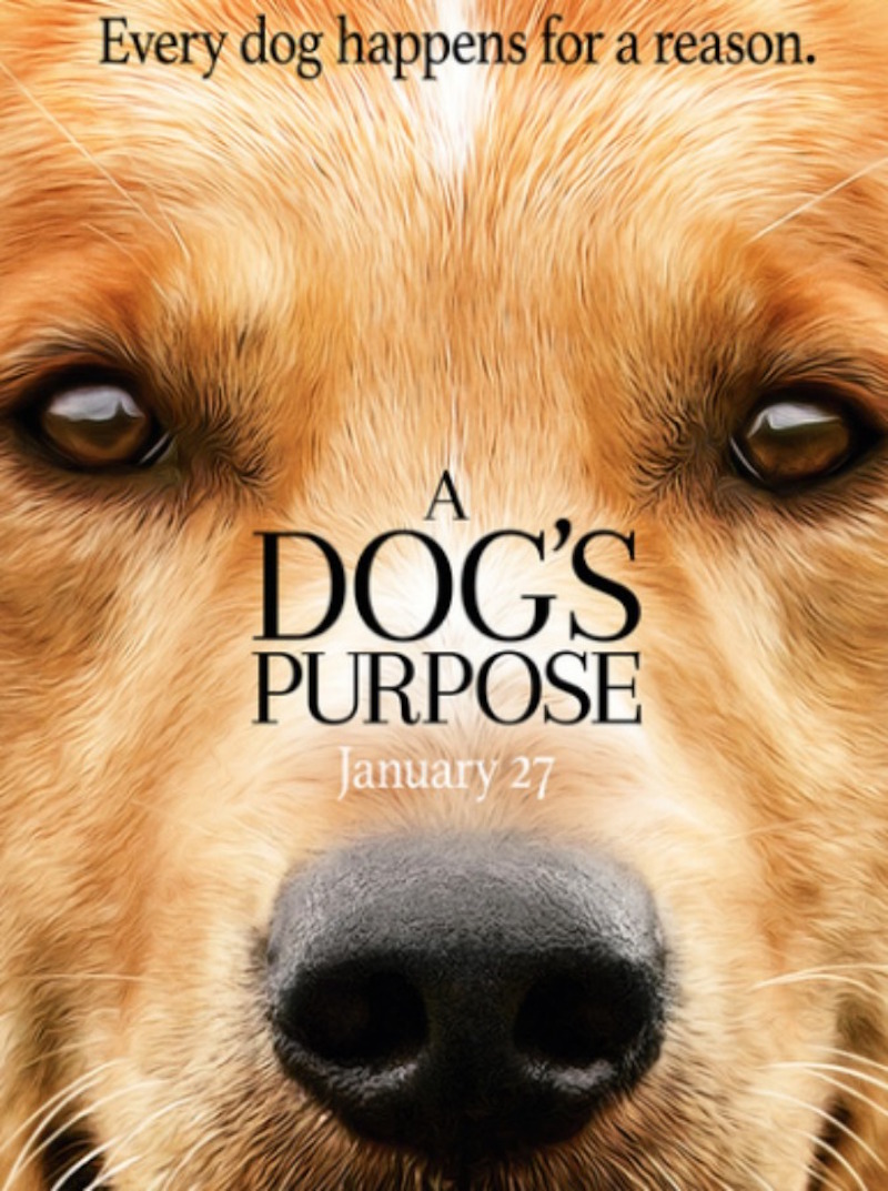 A Dog's Purpose