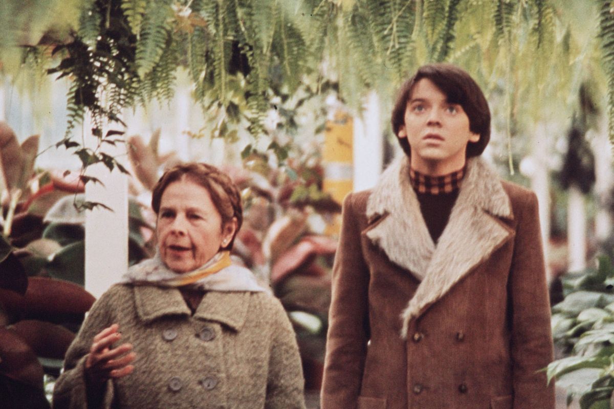 Harold and Maude (1970)