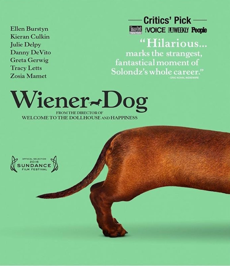 Wiener Dog