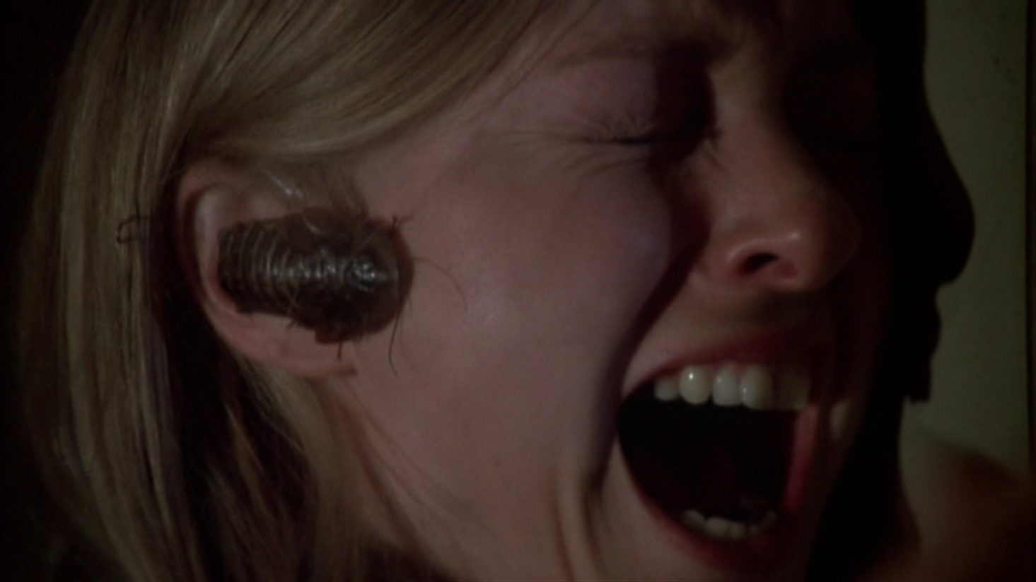 Bug (1975)