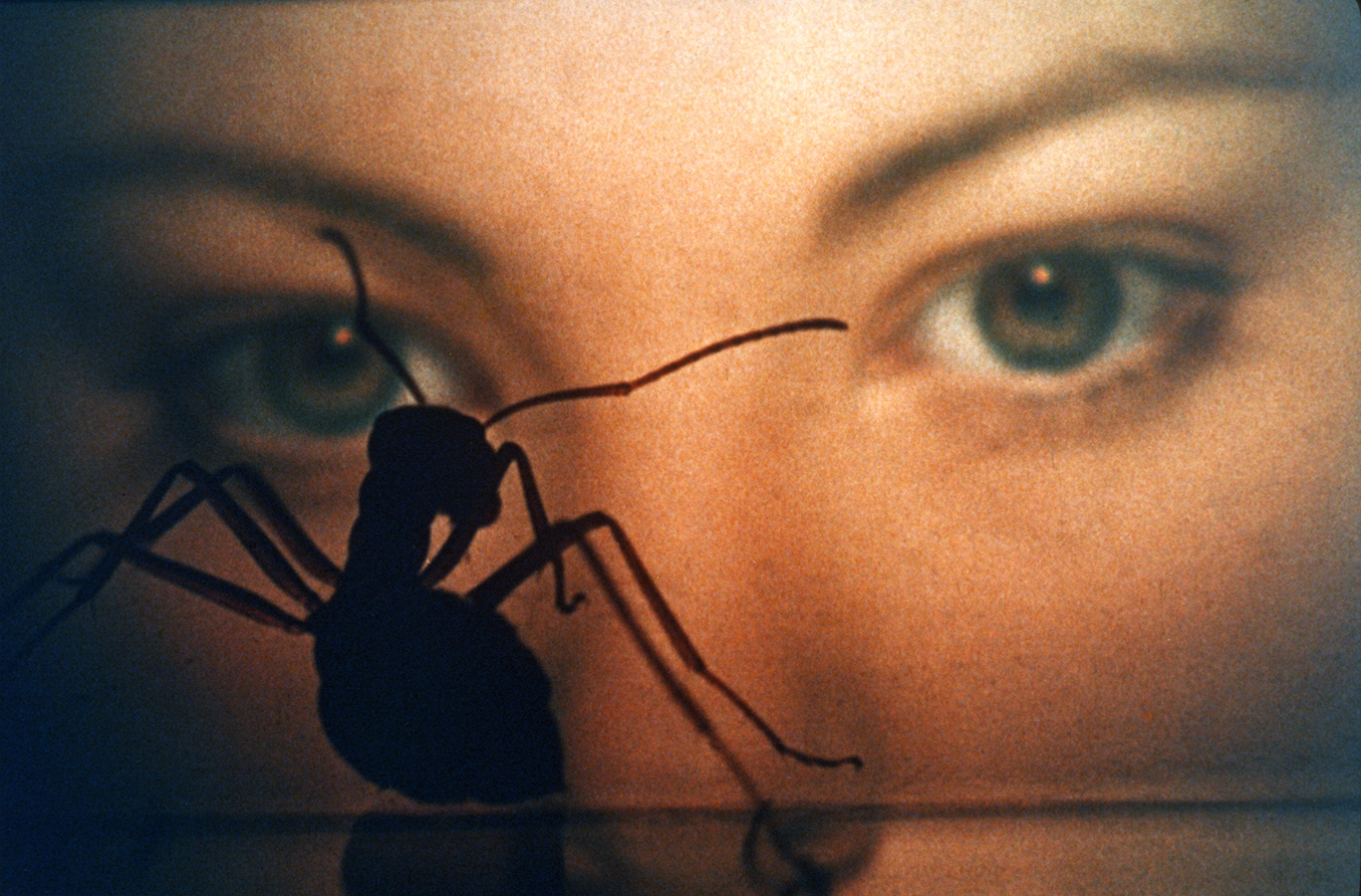 Phase IV (1974)