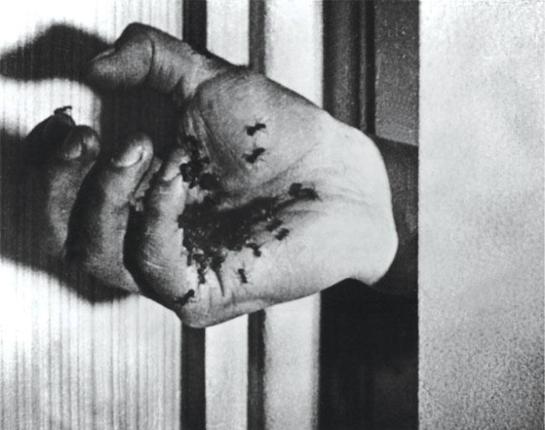 Un Chien Andalou (1929)