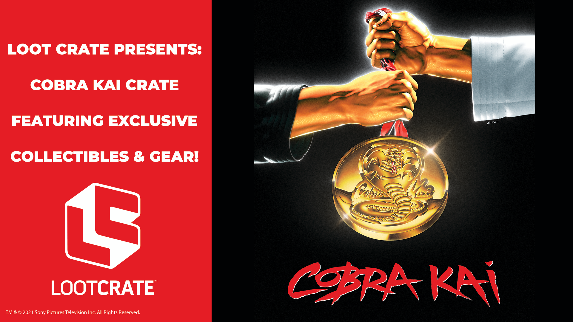 Cobra Kai Limited Edition Crate Series