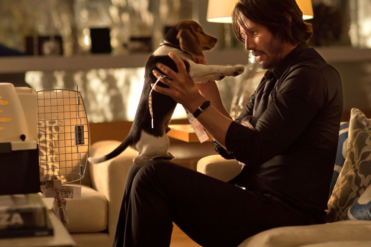 John Wick (2014)