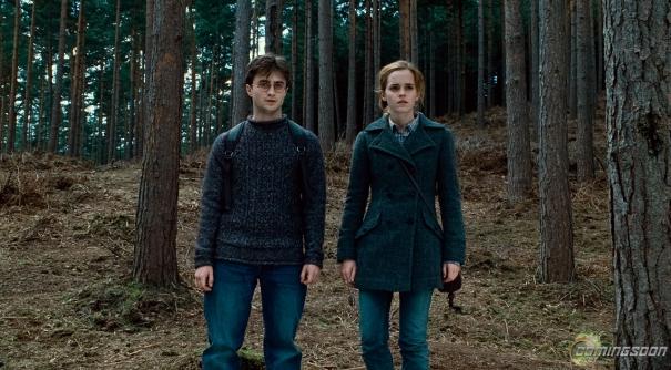 Harry_Potter_and_the_Deathly_Hallows_ _Part_1_119.jpg
