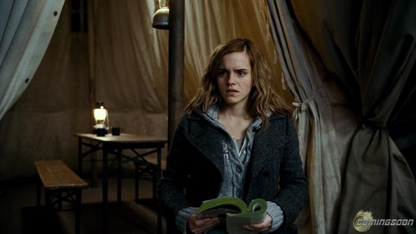 Harry_Potter_and_the_Deathly_Hallows_ _Part_1_125.jpg