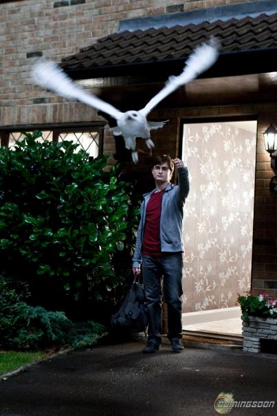 Harry_Potter_and_the_Deathly_Hallows_ _Part_1_79.jpg