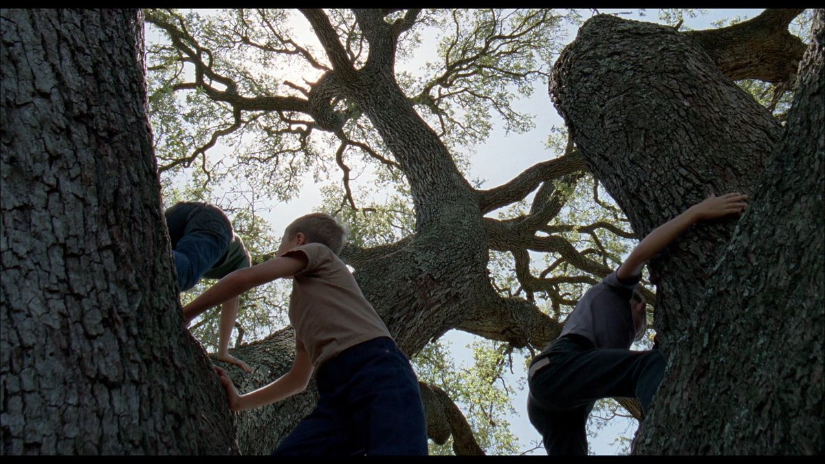 The Tree of Life (2011)