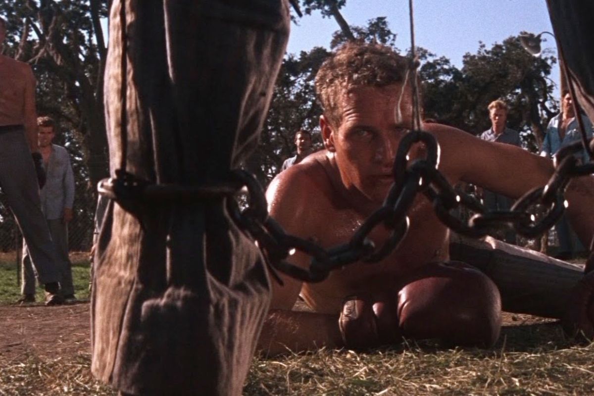 Cool Hand Luke (1967)