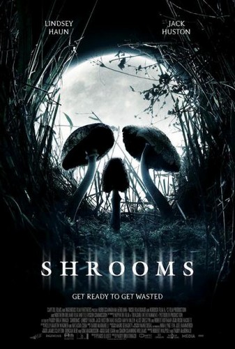 Shrooms_1