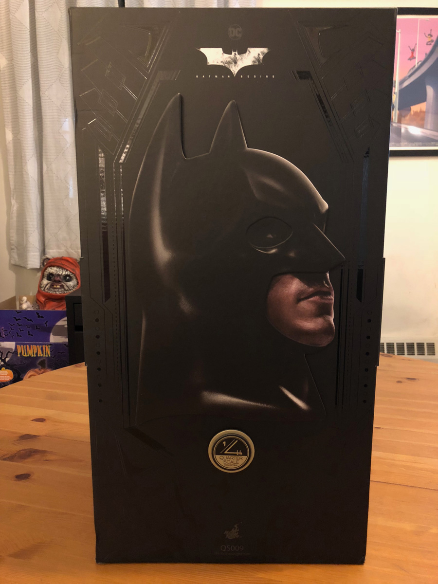 Batman Begins Hot Toys Figure