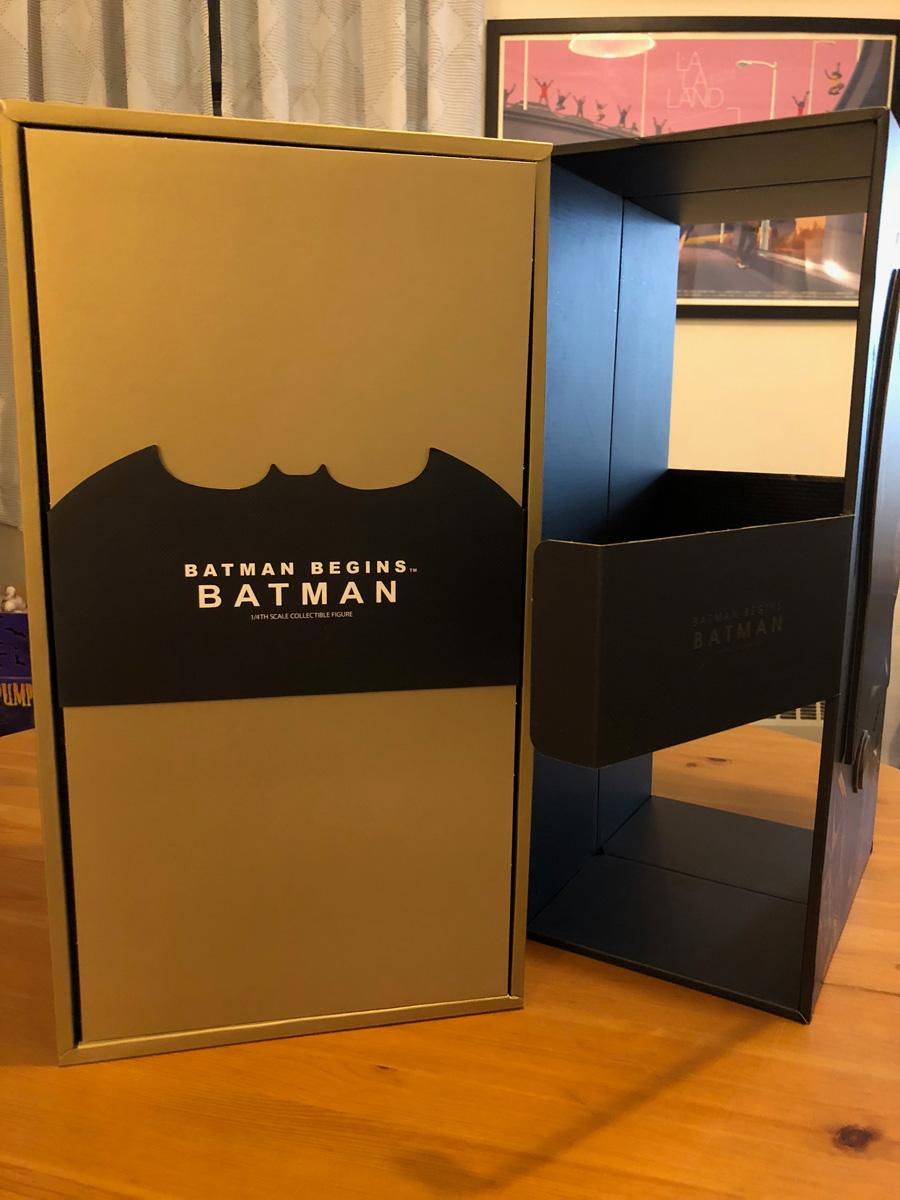 Batman Begins Hot Toys Figure