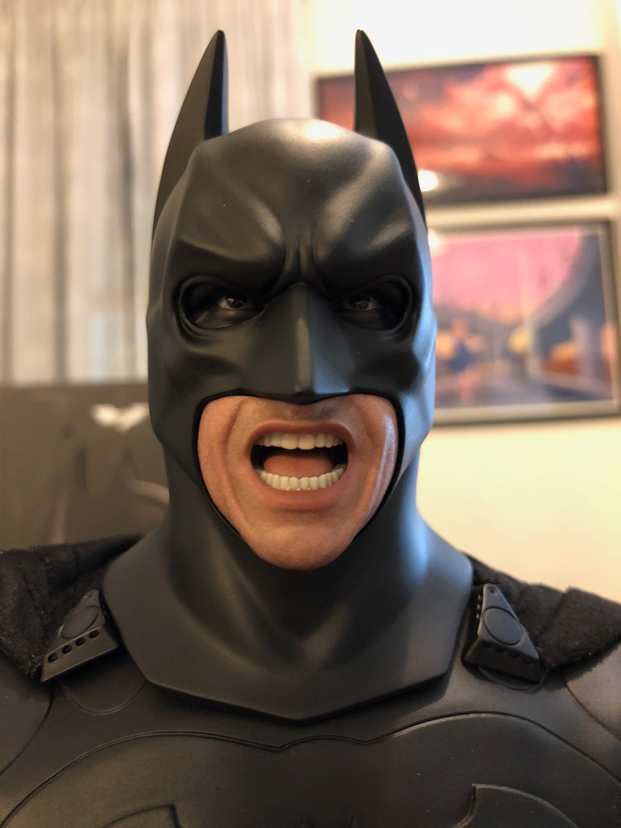 Batman Begins Hot Toys Figure